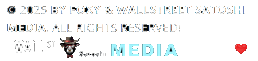 Copyright Wall Street Satoshi Media & $FOXY