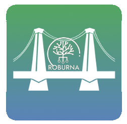 Bridge Placeholder